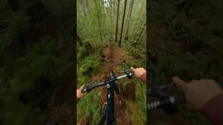 A trail I can ride every day. #mountainbiking #gopro #mtb.