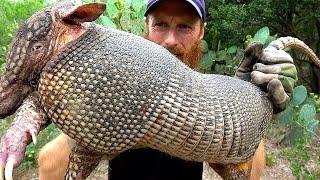 ARMADILLO Hunt with CATCH NET Foraging the Wild for Tree-Berries  ASMR Silent