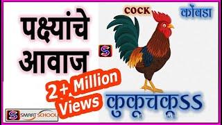 पक्ष्यांचे आवाज  Birds voice in Marathi by Smart School  Sound of Birds  Pakshyanche aavaj