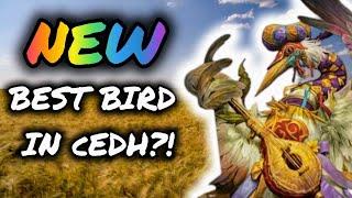 ZINNIA IS THE BEST BIRD in cEDH?  Live cEDH Brewing Session