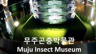 Insect Museum Muju South Korea - Exposed Tomato  곤충 박물관 무주 한국 - 토마토 노출