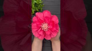 How to Make Crepe Paper Flowers Crepe Paper Decoration #shorts