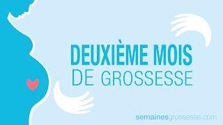 Deuxième mois de grossesse - Mois 2 de grossesse - La grossese mois par mois