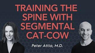 How and why to practice the segmental cat cow exercise  Peter Attia