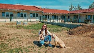 Love Furry Friends Builds new Shelter for Poor Stray Dogs