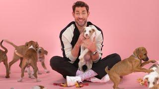 John Krasinski The Puppy Interview