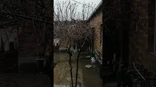 Armenia Ki Barish ️  It Is Raining In Armenia  Armenia