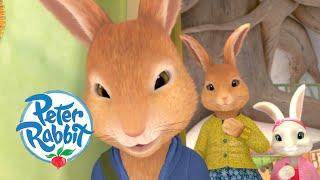 Peter Rabbit - Cottontails Birthday Surprise   Cartoons for Kids