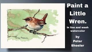 Easy little Wren and Wet into Wet background in Watercolor Great for Beginners. Peter Sheeler