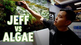 HOW TO KEEP YOUR FISH TANK ALGAE-FREE  REFUGIUM EXPLAINED  NEW HYGGER PRODUCTS REVIEW