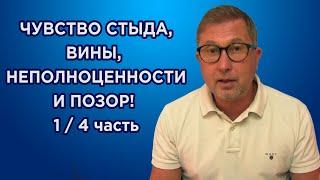 Стыд - причина одиночества. Чем отличается чувство стыда от вины. Чувство неполноценности. 14 часть