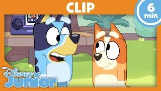  Neue Spiele mit Bluey und Bingo  Bluey