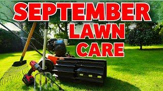Renovate your lawn this autumn the RIGHT way  Beginner tips and tricks