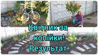 КВІТНИК з НУЛЯ за КОПІЙКИ.Результат мені дуже подобається#квіти#квітник#квітникзнулязакопійки#сад