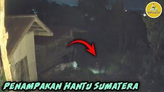 PENAMPAKAN HANTU SUMATERA  VCS 93