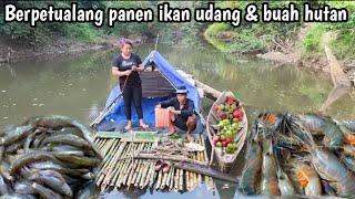 3 hari  berpetualang diatas rakit panen ikan udang dan buah hutan