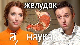 Откуда у нас изжога ожирение несварение и глисты? Доктор Сергей Вялов про желудок