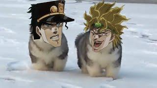 Puppys Bizarre Adventure  Part 1