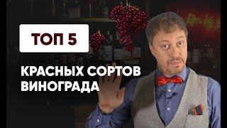 Топ-5 КРАСНЫХ СОРТОВ ВИНОГРАДА