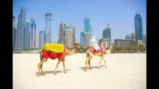Xclusive Hotel Apartments in Dubai Dubai - Vereinigte Arabische Emirate Bewertung und Erfahrungen