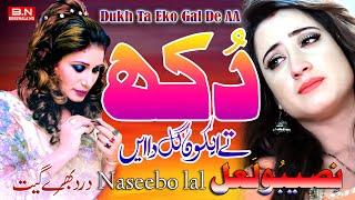 Dukh Ta Eko Gal De AA  Naseebo Lal  New Punjabi Song 2024 - BN BUREWALA HD