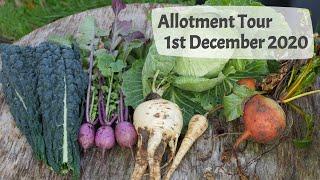 Allotment Tour 1st December 2020