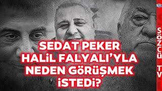 FETÖ ve Halil Falyalı İlişkisi Yasa Dışı Bahis Türkiyeye Böyle Sokuldu