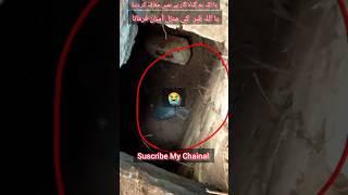 Allah Hu Akbar  Qabar ka Azab Whatsapp Status Video #shorts #trending #tiktok #viral #facts #yt