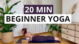 20-Minute Beginner Yoga Routine  Gentle Flow With Blocks