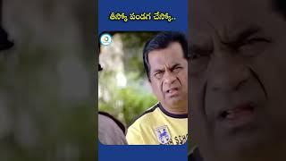 Brahmanandam Ali Comedy #brahmanandam #maheshbabu #ali #pokiri #purijagannadh #shorts #ytshorts