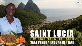 Saint Lucia Negara Indah yang Hampir Bangkrut Karena Pemuda Enggan Bertani