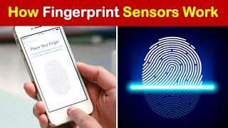 जानिए फिगरप्रिंट सेंसर कैसे काम करता है  Fingerprint sensor  Fingerprint  Fingerprint scanner