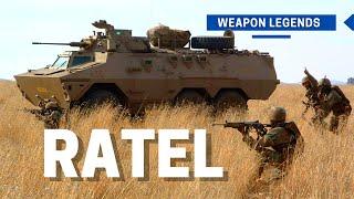 Ratel  An unforgettable wheeled armoured infantry fighting vehicle legend