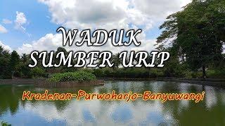 Waduk sumber urip kradenen-purwoharjo-banyuwangi