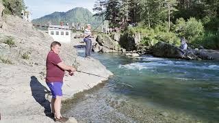 рыбалка на реке Чемал 19 июля 2021года.