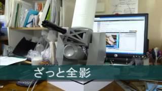 【CIWS】高性能20mm機関砲【作ってみた】