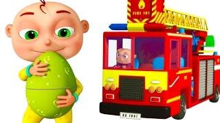 Five Little Babies Driving Transport Vehicles  Surprise Giant Eggs For Kids  Zool Babies