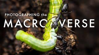 Wildlife Photography in the Macro World - Welcome to the MACROVERSE  Laowa 90mm 2X Ultra Macro