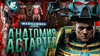 АНАТОМИЯ МАШИНЫ СМЕРТИ - КОСМОДЕСАНТ АДЕПТУС АСТАРТЕС  WARHAMMER 40k -  Вархаммер 40000