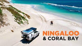 NINGALOO REEF AUSTRALIA - Better than GREAT BARRIER? Road Trip CORAL BAY