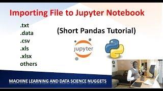 Lesson 1 - How to Read Different File Formats in Python Jupyter Notebook + Pandas