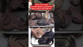 Human Real Organs Liver Kidney Heart Lungs Stomach  इंसान के शरीर के असली अंग #viral #shorts