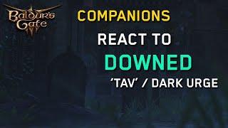 Companions Reactions to Downed TavsDurges  Baldurs Gate 3