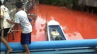 Sungai Di Bontang Kaltim Berubah Jadi Merah Darah HEBOH