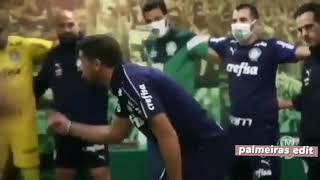 lomotif palmeiras 2020