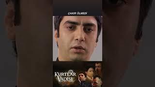 Çakır ölmedi  #shorts #kurtlarvadisi #polatalemdar #çakır