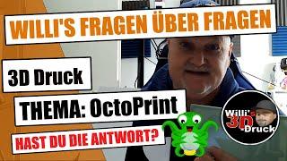 WILLIS 3D Druck Fragen über Fragen Thema OctoPrint Anycubic Mega S