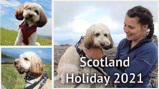 SCOTLAND DOG HOLIDAY VLOG 2021 Cockapoo visits Ben Nevis Glenfinnan Viaduct and Linn of Dee