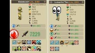 WAKFU 230 PvP XelorHuppermage