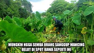 MUNGKIN TAK SEMUA ORANG SANGUP MANCING BELUT DI SPOT RAWA SEPERTI INI‼️ TAPI LIHAT HASILNYA